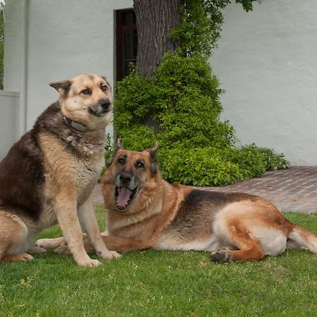 La Galiniere Guest Cottages Franschhoek Luaran gambar