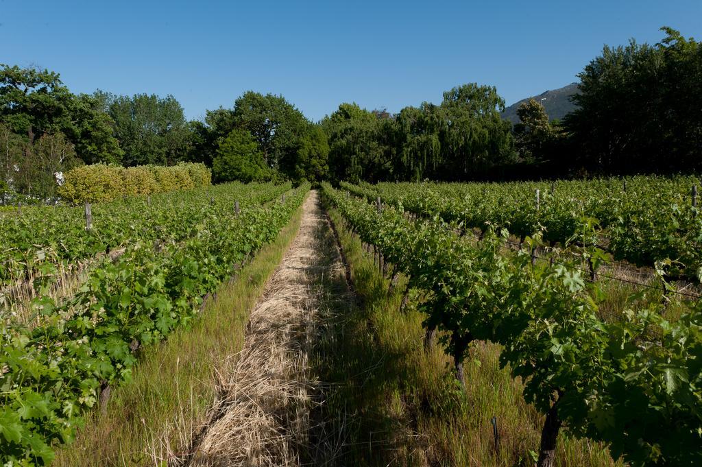 La Galiniere Guest Cottages Franschhoek Luaran gambar