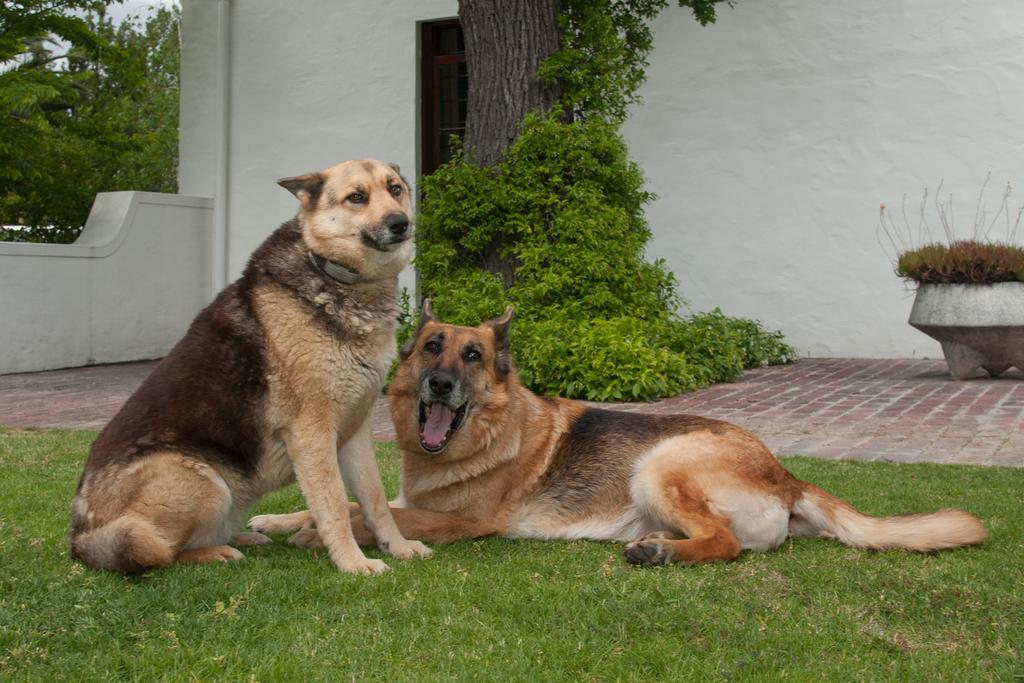 La Galiniere Guest Cottages Franschhoek Luaran gambar