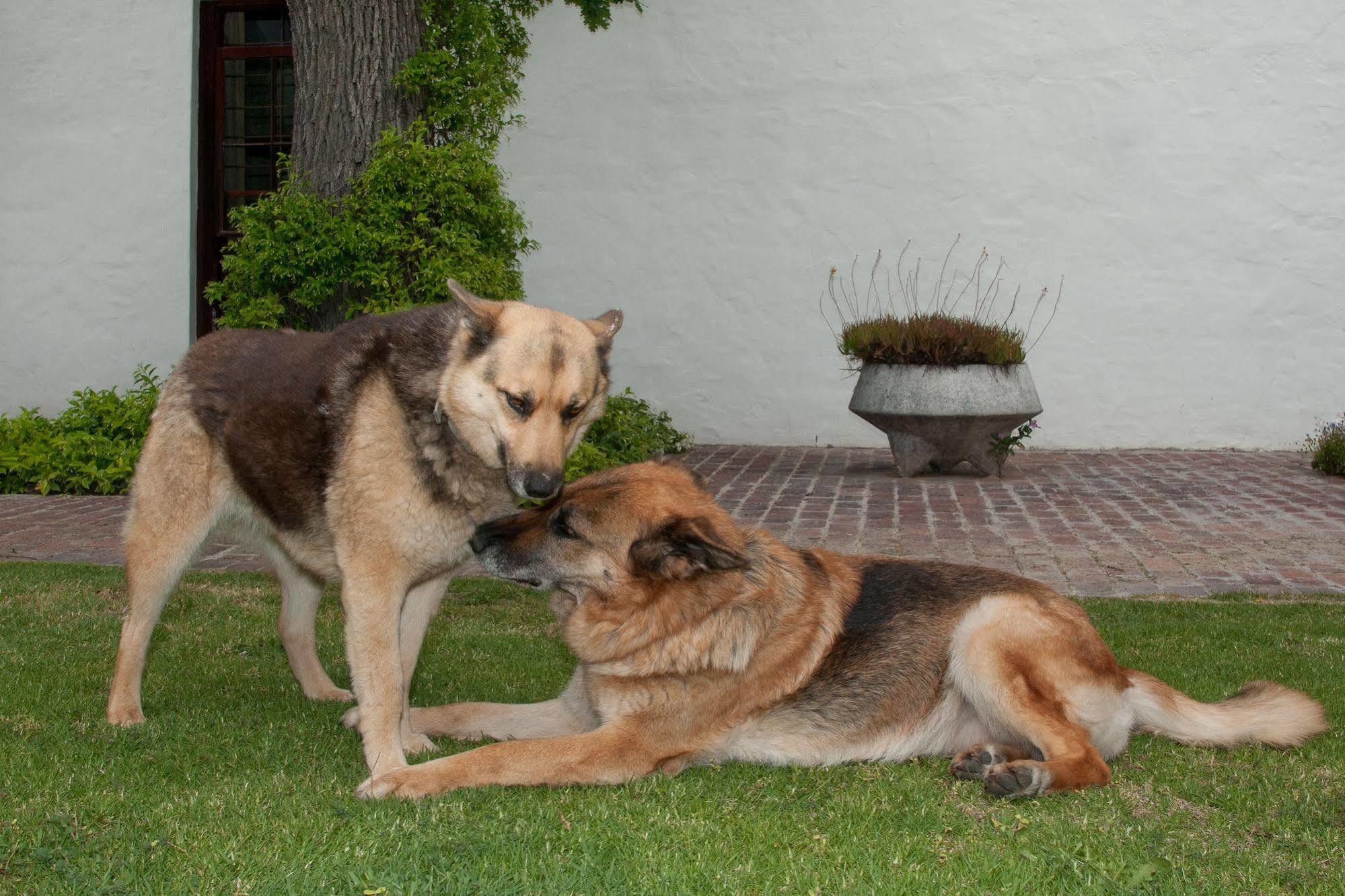 La Galiniere Guest Cottages Franschhoek Luaran gambar
