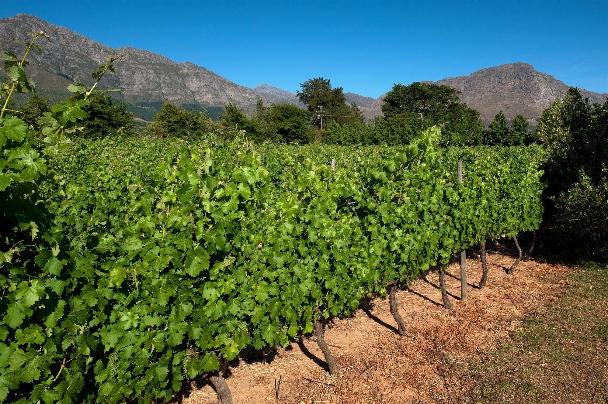 La Galiniere Guest Cottages Franschhoek Luaran gambar